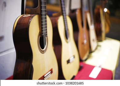 Collection Of Acoustic Guitars