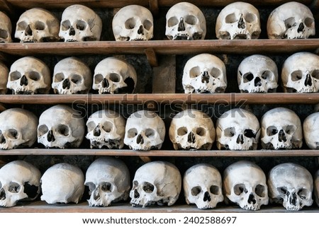 A collection of ancient human sculls and bones in the crypt of St Leonard's Church in Hythe