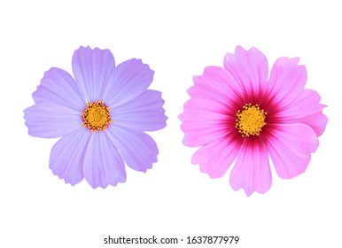 Imagenes Fotos De Stock Y Vectores Sobre Macro Kosmos Shutterstock