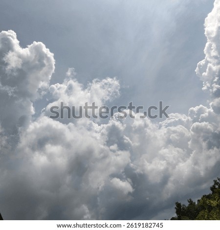 collection of beautiful white clouds