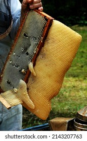 Collection Of Bee Putty By The Beekeeper