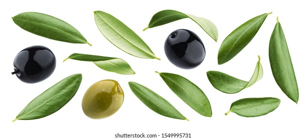 Collection of black and green olives with leaves isolated on white background with clipping path