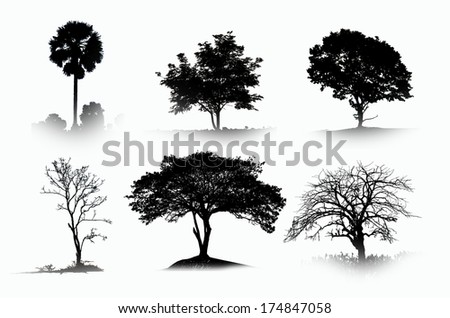 Collection Black Shadow Trees Stock Photo (Edit Now) 174847058