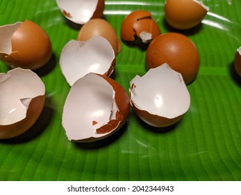 a collection of broken egg shells that can still be used for crafts