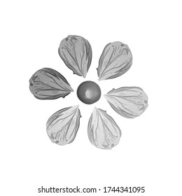 Collection Of Brush Strokes. Flower Made From Silver Paint Brushstroke Isolated On White Background. The Basis For Facial Skin Correction. Beauty Concept.