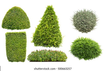 15,309 Shrub Collection Images, Stock Photos & Vectors | Shutterstock