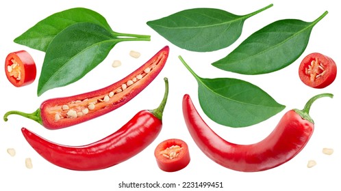 Collection chili pepper with leaves. Red hot chili pepper isolated on white background. Hot pepper fruit clipping path. Chili macro studio photo