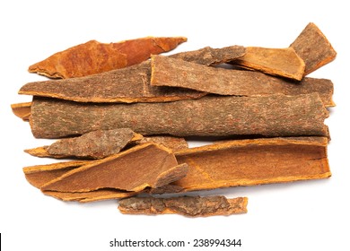 Collection of Cinnamomum camphora or Cinnamon bark over white background