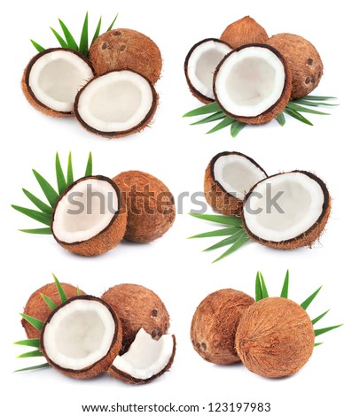 Collection of coconuts fruit with leafs on white close up