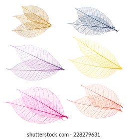 Collection of colored leaves for design.