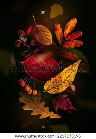 Foto Bild Weinleuchten Umwelt Natur