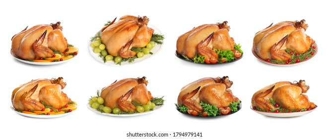 Collection Of Cooked Turkey With Different Garnishes On White Background. Banner Design