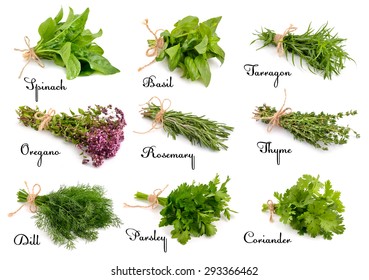 Collection Of Cooking Herbs And Spices. Isolated On White Background.