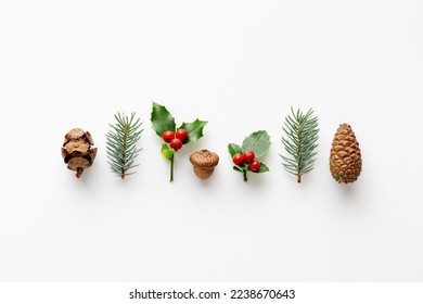 Collection of decorative Christmas plants. Acorn,  pine cones and berries. - Powered by Shutterstock