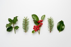 Sammlung Dekorativer Weihnachtspflanzen Mit Grünen Blättern Und Heiligen Beeren.