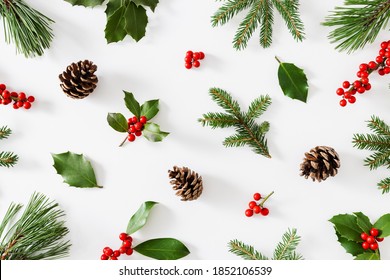 Collection of decorative Christmas plants with green leaves and holly berries. 