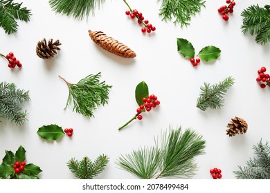 Collection of decorative Christmas plants with green leaves and holly berries. Winter natural decoration.