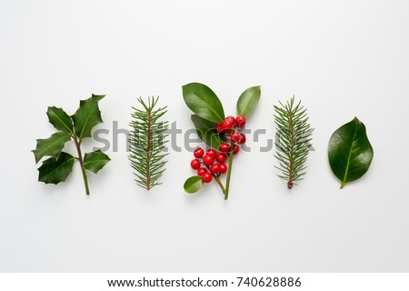 Collection of decorative Christmas plants with green leaves and holly berries. 