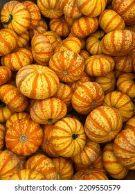 Collection Of Decorative Pumpkin, Orange And Yellow Patterns. From Local Farm Market To Your Home For Halloween Decoration