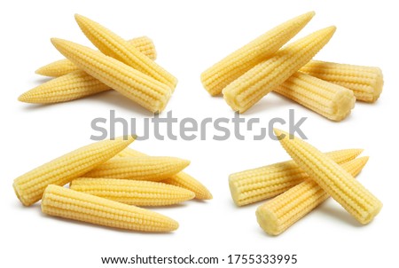 Collection of delicious baby corn, isolated on white background