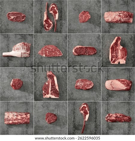 A collection of different cuts of beef including steaks, ribs, and ground beef, displayed on a grey textured background.