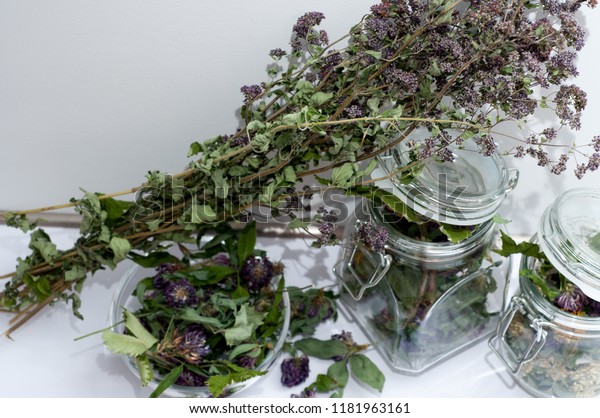 erotic-herbs-naked-pictures-of-girls-using-enemas