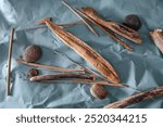 Collection of drift wood pieces and reed stems on a blue wrinkled creasy paper background