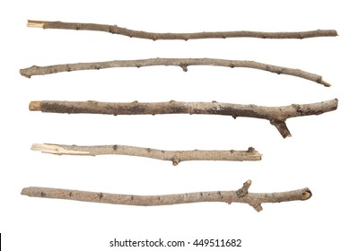 Collection dry branches Twigs isolated on white background - Shutterstock ID 449511682