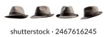 Collection of fedora hats from different points of view, isolated on white background