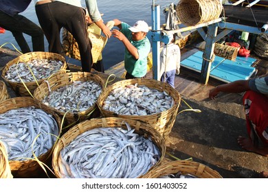 a collection of fish produced by fishermen with a background in harbor activities.  many fishing fish in the pronolingg fish market - Indonesia.  December 2019