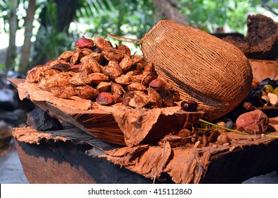 Collection Of Fruit And Seeds Food Eaten By The Indigenous Australian Aboriginal People From The Rain Forests Of Queensland, The Northern Territory, Western Australia Torres And Torres Strait Islands.