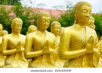 A collection of golden Buddha statues in a peaceful meditation pose, showcasing intricate craftsmanship and serene spirituality in a tranquil outdoor setting. - Powered by Shutterstock