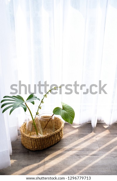 Collection Green Leaves Plant Glass Vases Stock Photo Edit Now