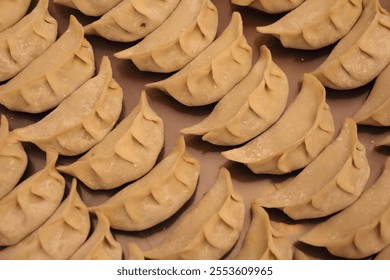 A collection of handmade dumplings are placed in perfect rows on a baking tray at a culinary event. The warm afternoon sun casts a soft glow, highlighting their unique shapes. - Powered by Shutterstock