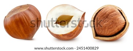 Collection hazelnut. Hazelnut nut with clipping path. Hazelnut isolated on a white background