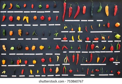collection of hot chili peppers, different types of fruit like Green bird's eye, yellow madame Jeanette, and red cayenne 