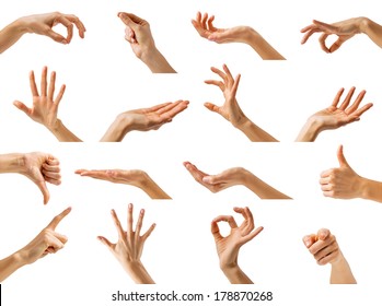 Collection of isolated woman's hands showing different gestures - Powered by Shutterstock
