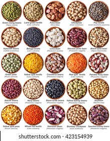 collection of legumes isolated on white with labels