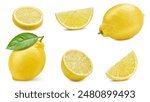 Collection lemon with leaves. Lemon isolated on white background. Lemon fruit clipping path. Lemon macro studio photo