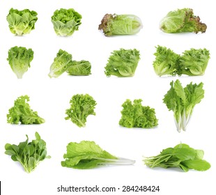 Collection Of Lettuce Isolated On White Background.