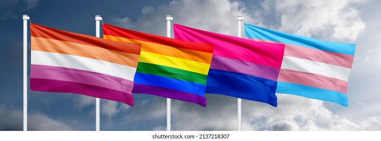 Collection Lgbt Community Different Pride Flags Stock Photo 2137218307 ...