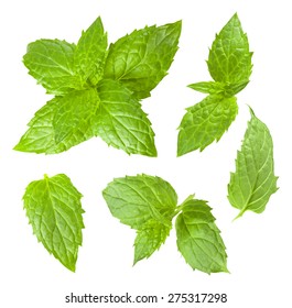 Collection of mint leaves isolated on white background