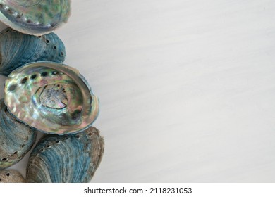 Collection of New Zealand Paua Abalone Shells from Above on White Wooden Background with Copy Space