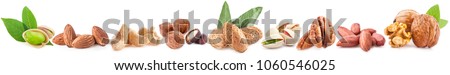 Collection of nuts isolated on white background