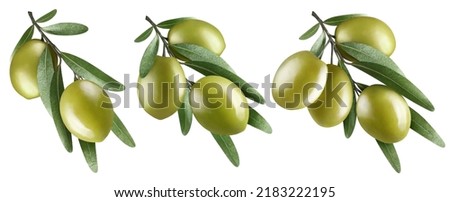 Collection of olive branches with two, three and four delicious green olives, isolated on white background
