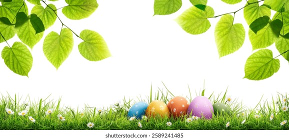 A collection of painted easter eggs under bright green tree leaves celebrating a Happy Easter in spring with green short meadow grass against an isolated white background.