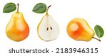 Collection pears Isolated on white background. Organic fresh pears isolated on white. Pears clipping path