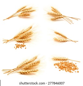 小麦图片 库存照片和矢量图 Shutterstock