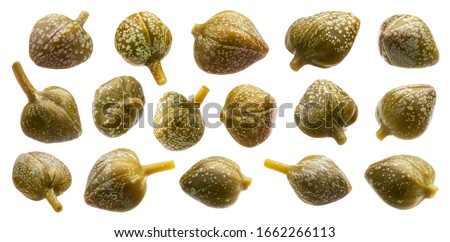 Collection of pickled capers isolated on white background with clipping path, macro