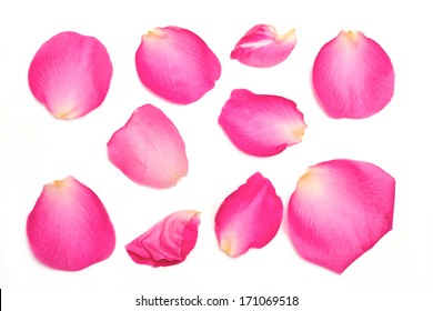 A Collection Of Pink Rose Petals On A White Background. 